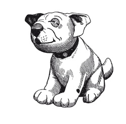 Иллюстрация к книге — Книга, которую читают все [i_117.jpg]