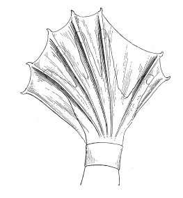 Иллюстрация к книге — Книга, которую читают все [i_127.jpg]