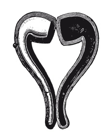 Иллюстрация к книге — Книга, которую читают все [i_134.jpg]