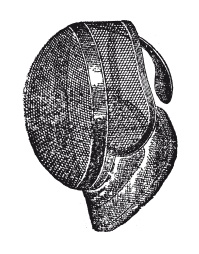 Иллюстрация к книге — Книга, которую читают все [i_148.jpg]