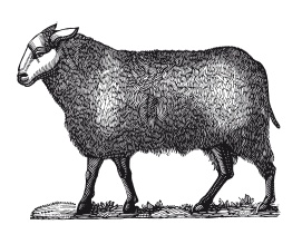 Иллюстрация к книге — Книга, которую читают все [i_149.jpg]