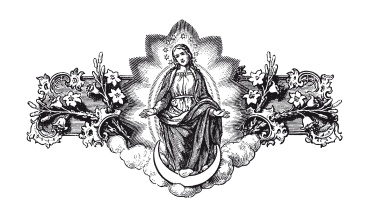 Иллюстрация к книге — Книга, которую читают все [i_177.jpg]