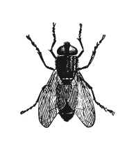 Иллюстрация к книге — Книга, которую читают все [i_181.jpg]