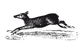 Иллюстрация к книге — Книга, которую читают все [i_193.jpg]