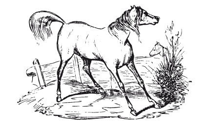 Иллюстрация к книге — Книга, которую читают все [i_225.jpg]