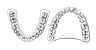 Иллюстрация к книге — Книга, которую читают все [i_227.jpg]