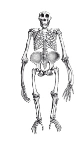 Иллюстрация к книге — Книга, которую читают все [i_253.jpg]