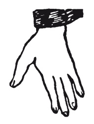 Иллюстрация к книге — Книга, которую читают все [i_257.jpg]