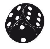 Иллюстрация к книге — Книга, которую читают все [i_258.jpg]