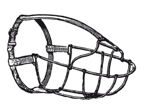 Иллюстрация к книге — Книга, которую читают все [i_282.jpg]