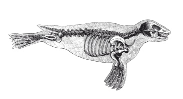Иллюстрация к книге — Книга, которую читают все [i_286.jpg]
