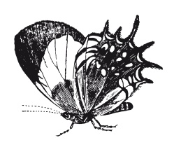 Иллюстрация к книге — Книга, которую читают все [i_288.jpg]