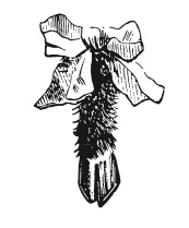 Иллюстрация к книге — Книга, которую читают все [i_332.jpg]