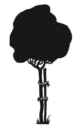 Иллюстрация к книге — Книга, которую читают все [i_334.jpg]