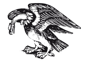 Иллюстрация к книге — Книга, которую читают все [i_349.jpg]