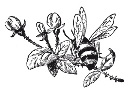 Иллюстрация к книге — Книга, которую читают все [i_355.jpg]