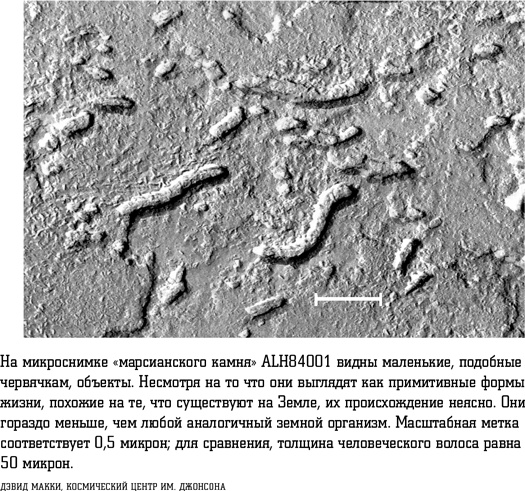 Иллюстрация к книге — Смерть с небес [i_024.jpg]