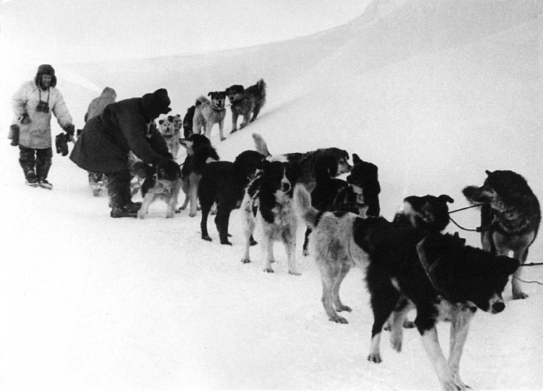 Иллюстрация к книге — Олег Куваев: повесть о нерегламентированном человеке [i_024.jpg]