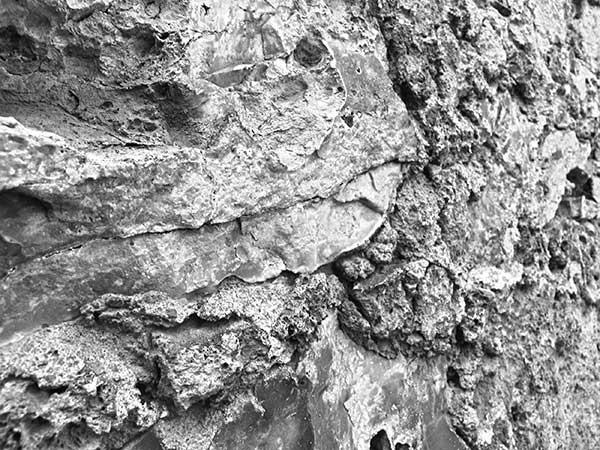 Иллюстрация к книге — Предместья мысли. Философическая прогулка [i_006.jpg]