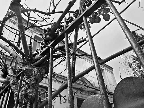 Иллюстрация к книге — Предместья мысли. Философическая прогулка [i_008.jpg]