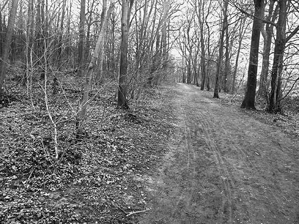 Иллюстрация к книге — Предместья мысли. Философическая прогулка [i_020.jpg]