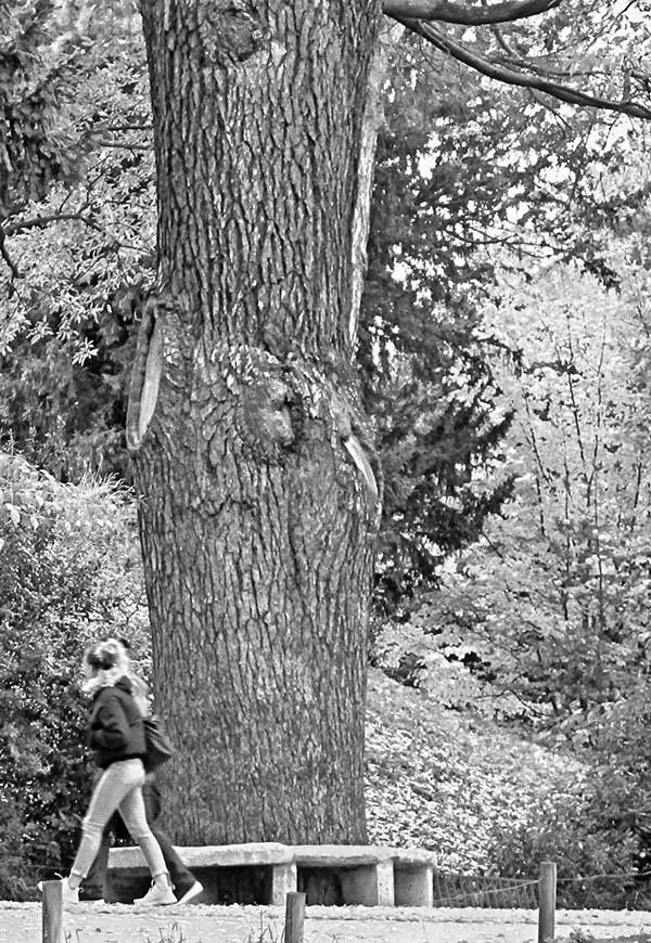 Иллюстрация к книге — Предместья мысли. Философическая прогулка [i_033.jpg]