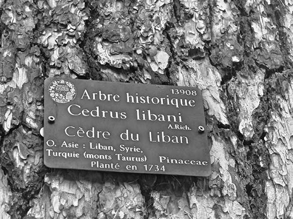 Иллюстрация к книге — Предместья мысли. Философическая прогулка [i_035.jpg]