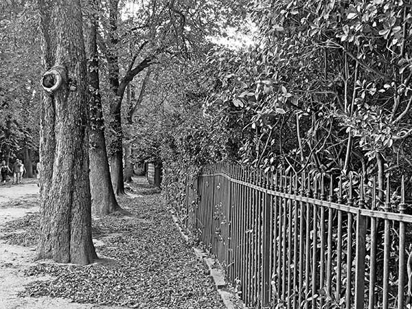 Иллюстрация к книге — Предместья мысли. Философическая прогулка [i_037.jpg]