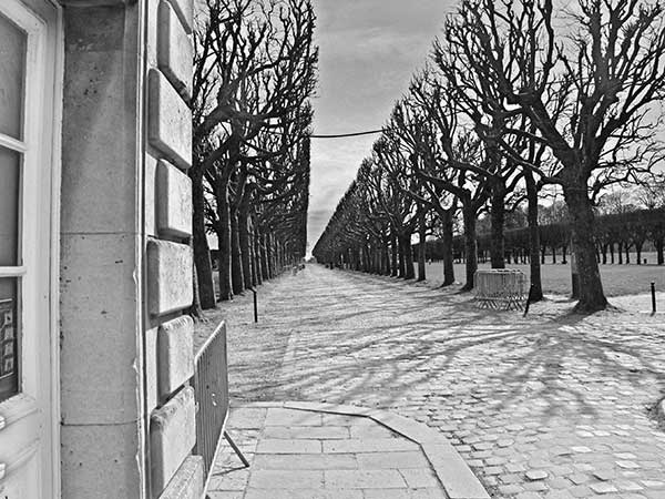 Иллюстрация к книге — Предместья мысли. Философическая прогулка [i_100.jpg]