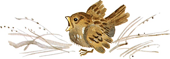 Иллюстрация к книге — Случай с Евсейкой (сборник) [i_002.jpg]