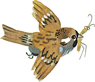 Иллюстрация к книге — Случай с Евсейкой (сборник) [i_003.jpg]