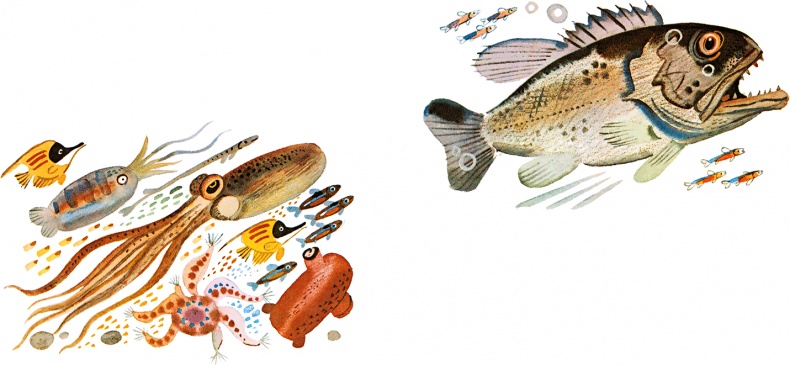 Иллюстрация к книге — Случай с Евсейкой (сборник) [i_014.jpg]