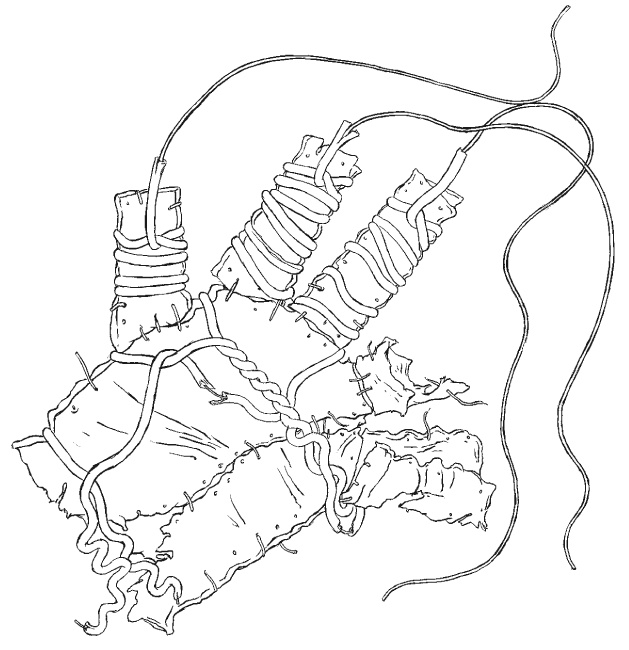 Иллюстрация к книге — Сила [i_003.jpg]