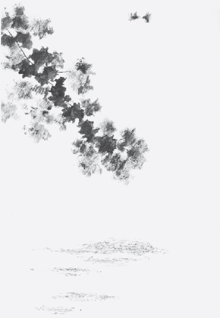 Иллюстрация к книге — Враг Геббельса № 3 [i_087.jpg]