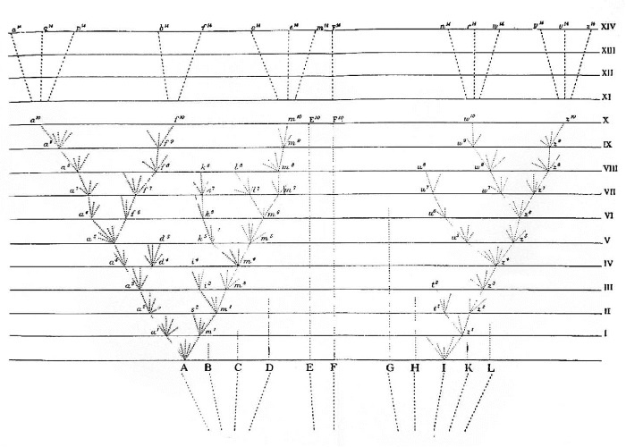 Иллюстрация к книге — Происхождение видов путем естественного отбора, или Сохранение благоприятных рас в борьбе за жизнь [i_010.jpg]