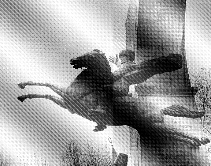 Иллюстрация к книге — Памятники не тем [i_012.jpg]