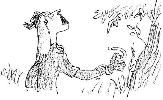 Иллюстрация к книге — Ведьмы [i_026.jpg]