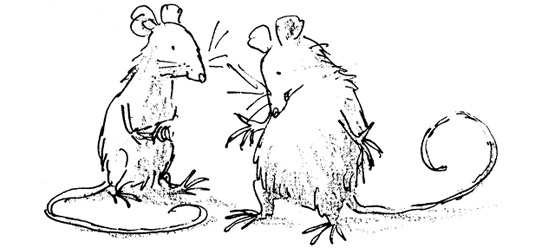 Иллюстрация к книге — Ведьмы [i_066.jpg]