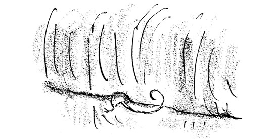 Иллюстрация к книге — Ведьмы [i_073.jpg]