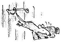 Иллюстрация к книге — Ведьмы [i_083.jpg]