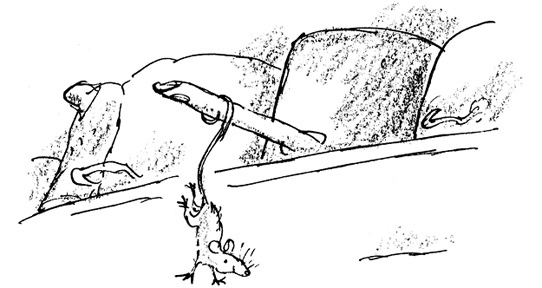 Иллюстрация к книге — Ведьмы [i_088.jpg]