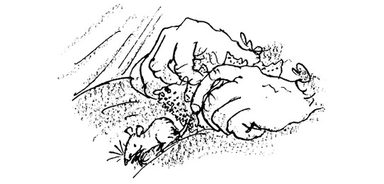 Иллюстрация к книге — Ведьмы [i_094.jpg]