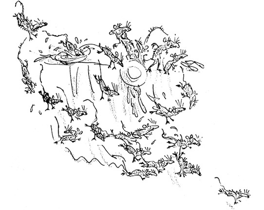 Иллюстрация к книге — Ведьмы [i_098.jpg]