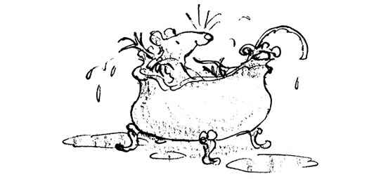 Иллюстрация к книге — Ведьмы [i_102.jpg]