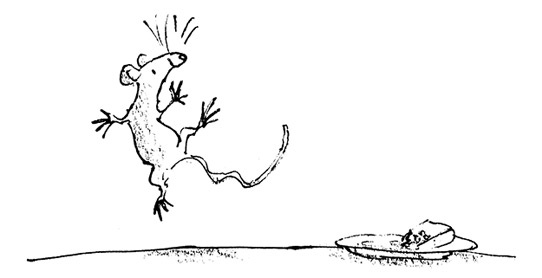 Иллюстрация к книге — Ведьмы [i_108.jpg]