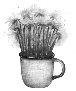 Иллюстрация к книге — Все на дачу! [i_001.jpg]