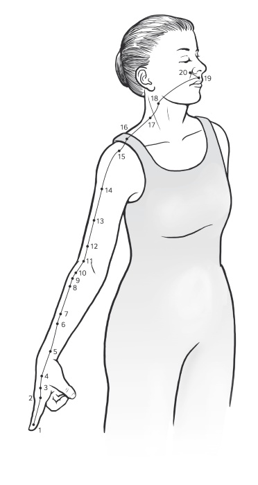 Иллюстрация к книге — Путь Ци. Энергия жизни в вашем теле. Упражнения и медитации [i_008.jpg]