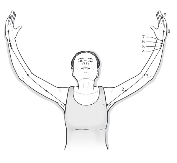 Иллюстрация к книге — Путь Ци. Энергия жизни в вашем теле. Упражнения и медитации [i_011.jpg]