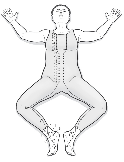 Иллюстрация к книге — Путь Ци. Энергия жизни в вашем теле. Упражнения и медитации [i_014.jpg]