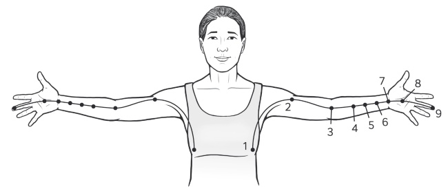 Иллюстрация к книге — Путь Ци. Энергия жизни в вашем теле. Упражнения и медитации [i_015.jpg]